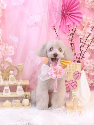 20250326ロンくん